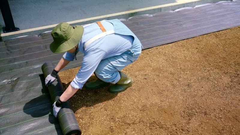 コメリハード＆グリーン八千代店