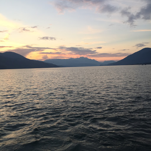 Arrow Lakes ELectric Ltd.