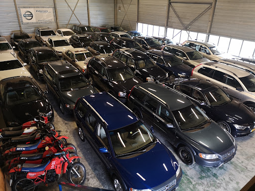 Polarcars - Visual