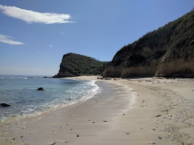 Photos of Ocean Heaven