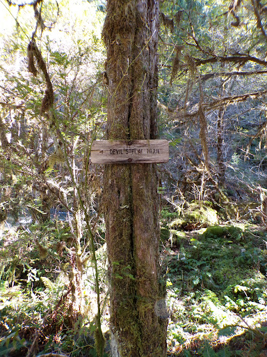 Devil's Flat Campground - Visual
