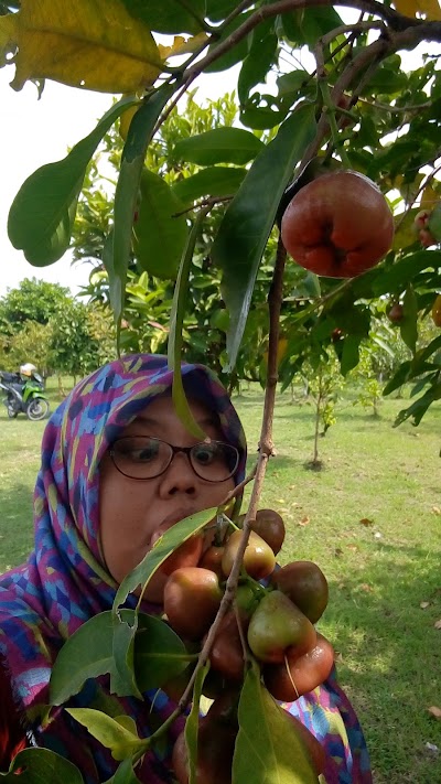 Photos of Hutan Kota Balas Klumprik