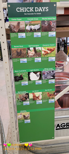 Blain's Farm & Fleet - Belvidere, Illinois - Thumbnail