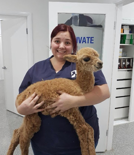 Satur Veterinary Clinic - Thumbnail