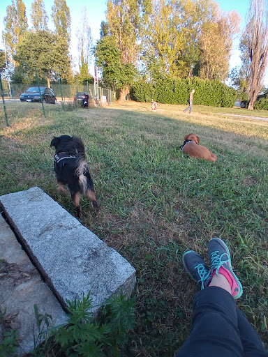 Area Cani del Centro Sportivo di Gorle - Thumbnail