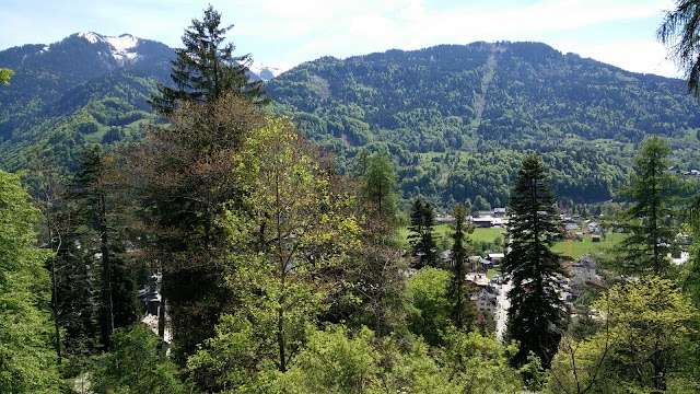 Jardin botanique alpin La Jaÿsinia