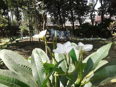 Photos of Fazelpur Koborstan