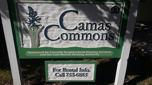 Camas Commons - Visual