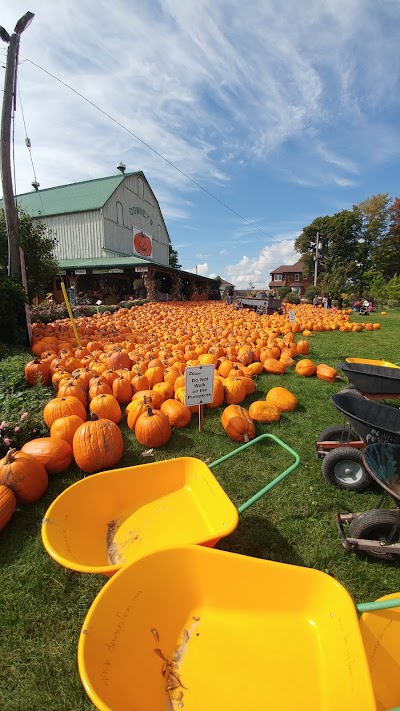 Photos of Downey's Farm Market