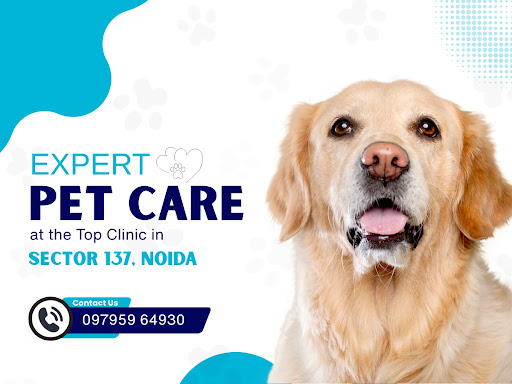 Expert Pet Care at the Top Clinic in Sector 137, Noida post image