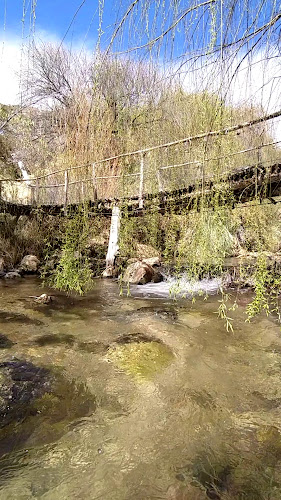 ecocentrolaortiga.cl