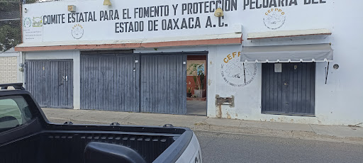 CEFPPO A.C. - Visual