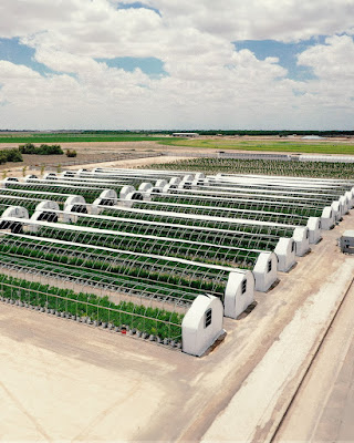 Photo of Pecos Valley Production - Dispensary & Wholesale
