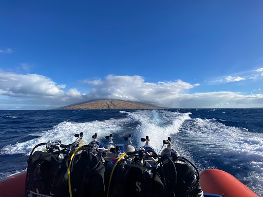 Maui Pacific Divers & Private Charters