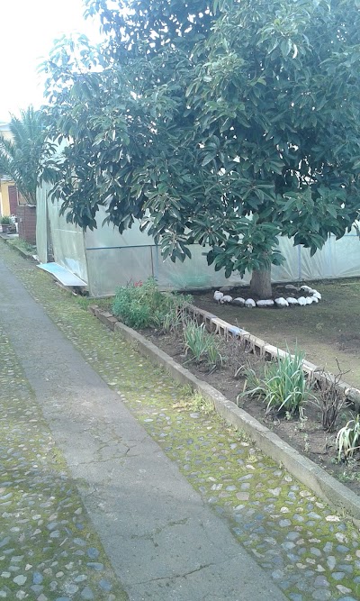 Photos of Hotel Go Go OLMUE