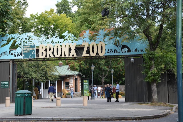 Zoo du Bronx