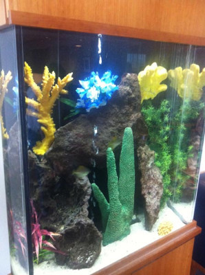 Advanced Aquarium Services