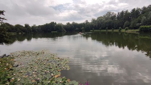 Kleiner Weiher Riedstadt Gallery - Germany