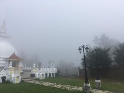 Photos of Dilra Tours (OPEN)