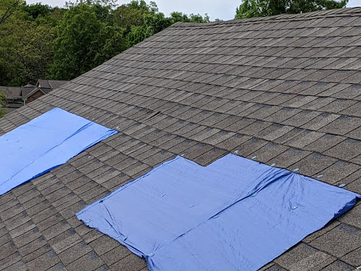 Next Level Roofing LLC