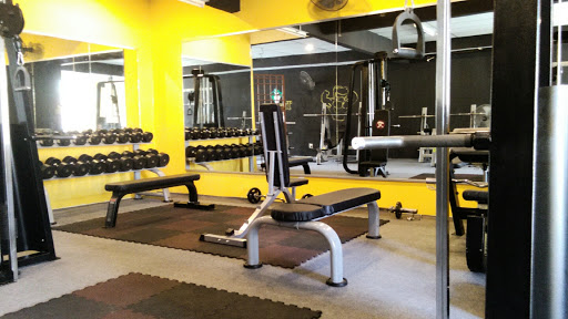TRex Gym
