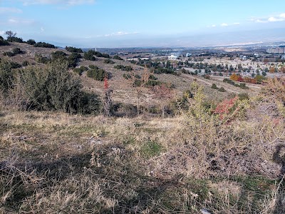 Lighter Cemetery