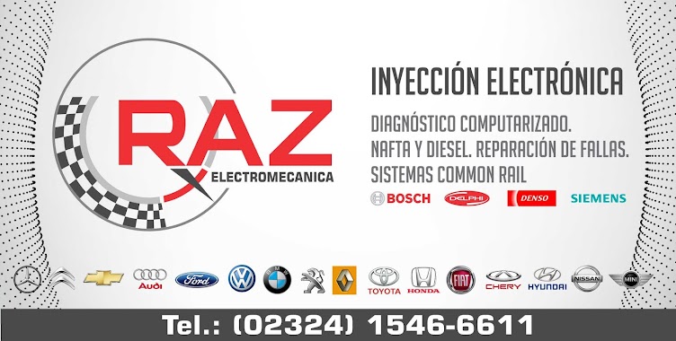 RAZ ELECTROMECANICA, Author: thomasraz raz