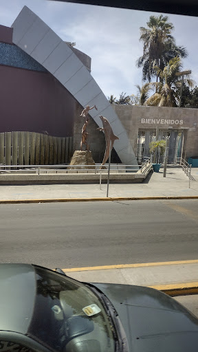 Cerrajería Acuario Gallery - Mexico
