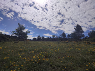 Photo n°18 de Ma Sage s'Honore à Labastide-en-Val (Centre de bien-être)