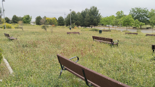 bancas Park