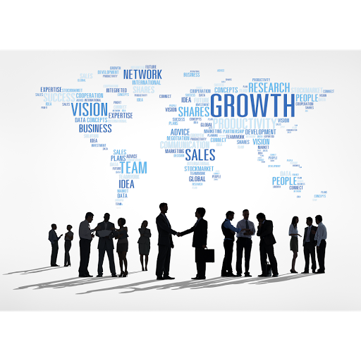 Sapient CPA LLC - Thumbnail