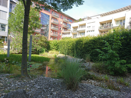 Dantehof - Visual