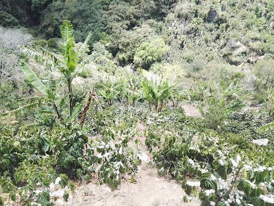 Photos of Monte Copey
