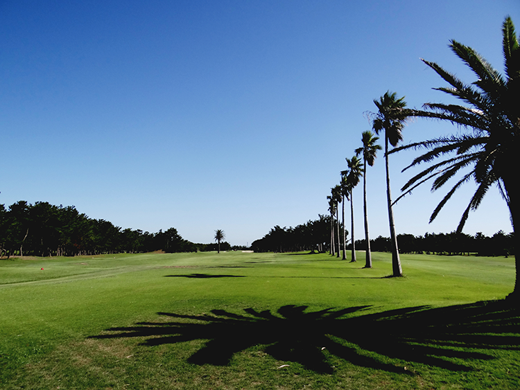 トーシン伊良湖シーサイドゴルフ倶楽部