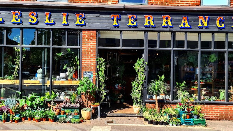 Leslie Terrance Plant Shop photo 3