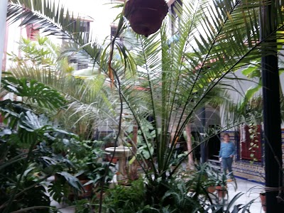 Photos of Hotel Casa de los Azulejos