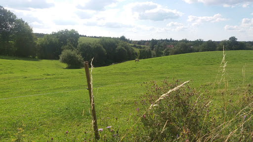 Uhlbachhof Jäger | Sulzbach-Laufen - Thumbnail