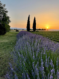 Photo n°8 de Domaine de la Source Chambon à Chabeuil (Chambre d'hôtes)