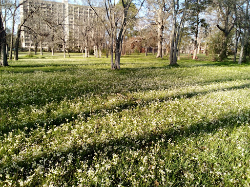 Claiborne Park - Thumbnail