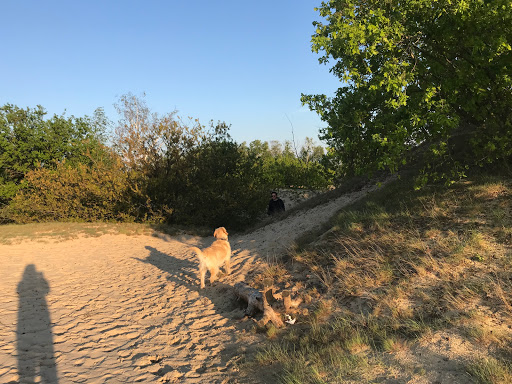 Capucijnenburgh - Thumbnail