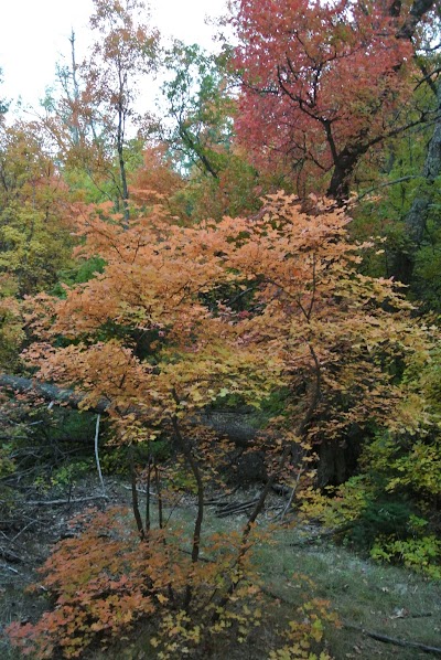 Fourth of July Trailhead