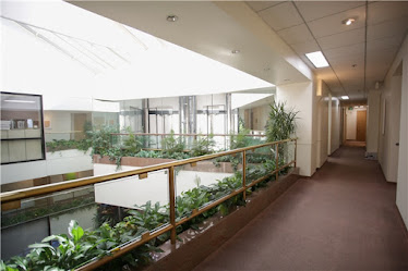 Pacific Oaks Medical Group