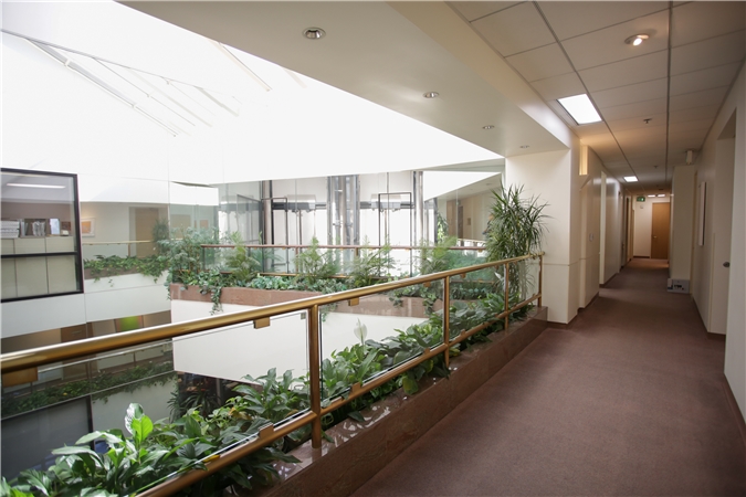 Pacific Oaks Medical Group by null