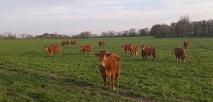 Photo n°2 de Boucherie Navarro - Fégréac à Fégréac (Boucherie-charcuterie)