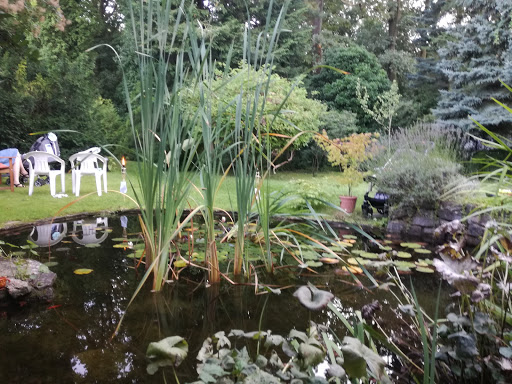 Ferienhaus Midgard-Berlin