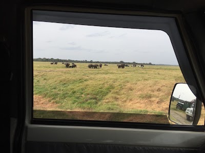Photos of Minneriya Jeep Safari