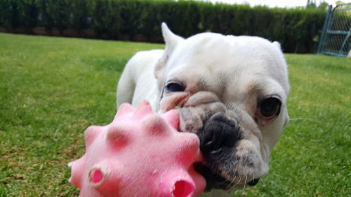 Clínica Veterinaria Faunia Sabinillas