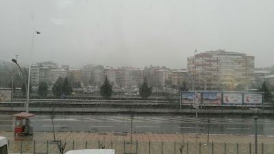 Photos of Kocaeli Metropolitan Municipality