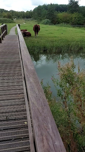 Beoordelingen van Kardingebult in Groningen - Sportcomplex