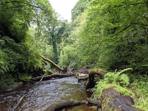 Henrhyd Falls - Thumbnail